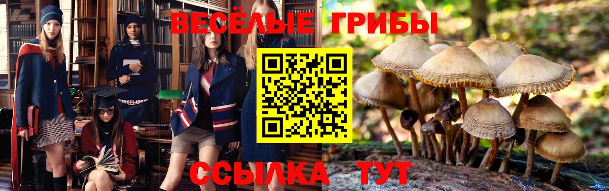 Галлюциногенные грибы GOLDEN TEACHER  Псилоцибиновые грибы мицелий  Ангарск  Вход с VPN 